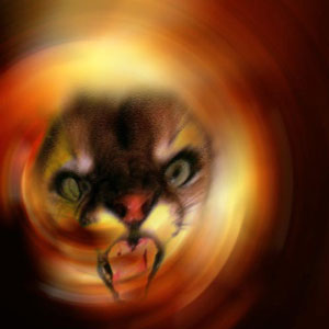 gato_enfadado.jpg